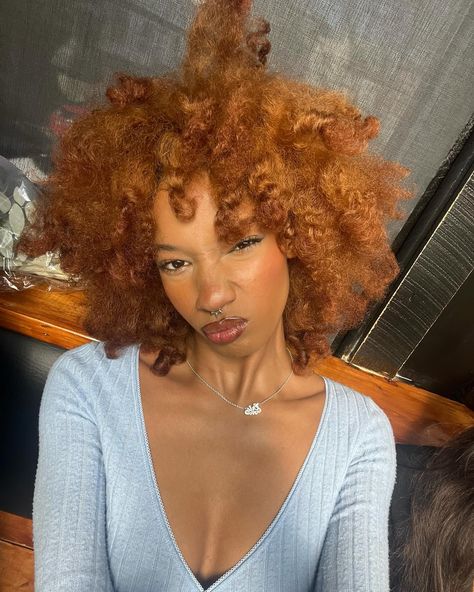 Ginger Afro Black Women, Dyed 4c Hair, Moon Moodboard, Hair Canvas, Curly Hair Types, Colored Curly Hair, Dyed Natural Hair, 4c Natural Hair, Beautiful Hair Color