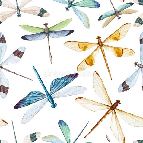 Dragonfly Illustration, Dragonfly Images, Watercolor Lotus, Dragonfly Pattern, Cactus Vector, Leopard Watercolor, Watercolor Dragonfly, Watercolor Feather, Dragonfly Prints