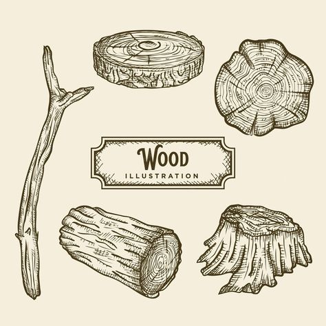 Pile Of Wood Drawing, Wood Ink Drawing, Wood Illustration Texture, Tree Stump Sketch, Tree Stump Illustration, Wood Drawing Ideas, Woodwork Aesthetic, Wood Grain Tattoo, Log Illustration