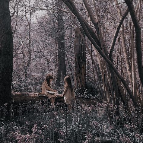 Lesbian Wedding Photography, School For Good And Evil, Fairytale Photography, Holly Black, History Projects, A Silent Voice, Princess Aesthetic, Fantasy Adventure, Fantasy Aesthetic