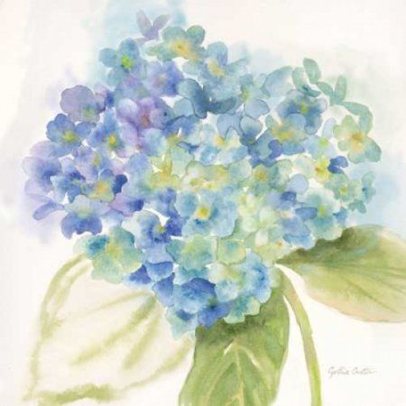 Hydrangea Watercolor Painting, Watercolor Iris, Hydrangea Watercolor, Hydrangea Painting, Watercolor Hydrangea, Watercolor Flowers Tutorial, Art Licensing, Print Artist, Fine Arts Posters