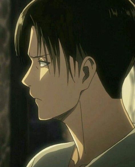 his side profile is fire. Levi Heichou, Levi Ackermann, Levi Mikasa, Captain Levi, Attack On Titan Levi, Japanese Manga Series, Side Profile, Levi Ackerman, Character Modeling