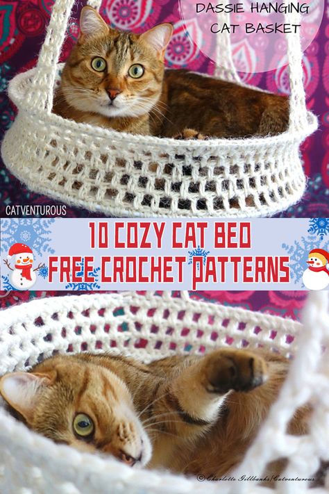 Creating a cozy haven for your feline friend is a delightful way to show your love and care. #catbeds #crochet Cat Hammock Crochet, Cat Bed Crochet, Cat Pillow Pattern, Cat Bed Pattern, Crochet Hammock, Crochet Cat Bed, Crochet Cat Toys, Knit Toys, Cozy Cat