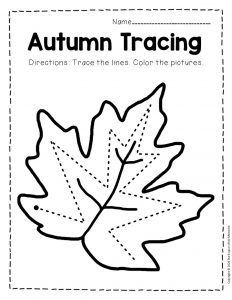 Fall Preschool Writing Activities, Fall Leaves Worksheets For Preschool, Autumn Prek Activities, Fall Theme Writing Activities Preschool, Pre K Fall Worksheets Free, Fall Reading Activities Preschool, Activities For Fall Preschool, Fall Kindergarten Worksheets Free, Leaves And Trees Preschool Theme