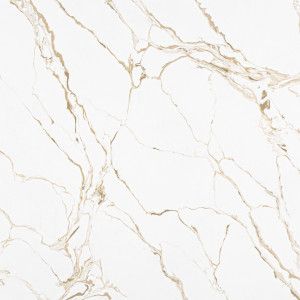 Best Calacatta Oro (Pictures & Costs) | Marble.com Armani Grey Marble, Quartz Stone Kitchen, Fresh Concrete Caesarstone, Stone Kitchen Countertops, Caesarstone Calacatta Nuvo, Calacatta Oro Marble, Quartz Calacatta, Calacatta Gold Quartz, Stone Countertops Kitchen