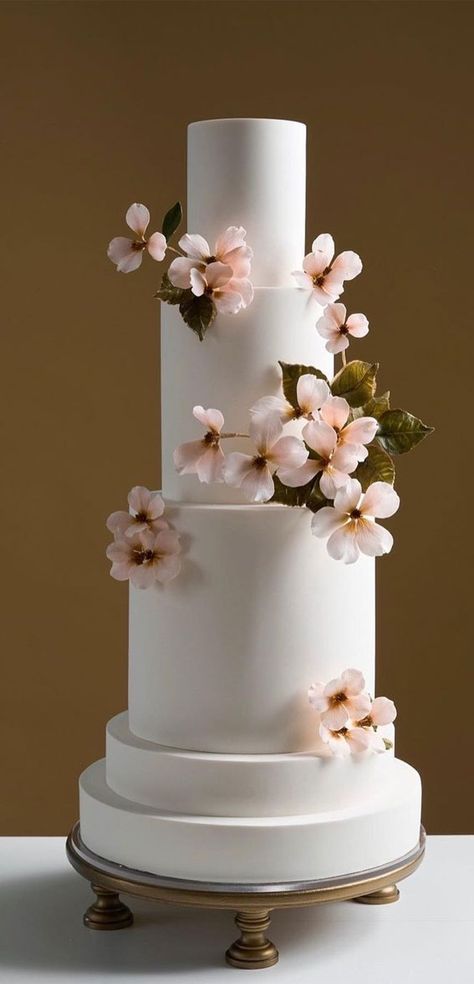 14. Simple Cake with Muted Pink Sugar Flowers Spring is getting closer, if you’re planning a wedding in 2023, you may be ready to... Cake Trends 2023, Wedding Cakes Flowers, Celestial Cake, Contemporary Cake, Wedding Cake Trends, Cake Wrecks, Dream Wedding Cake, Modern Cakes, Luxury Wedding Cake