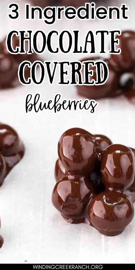 These easy Chocolate Covered Blueberries are the perfect snack if you are craving something sweet and fruity! Juicy blueberries are dipped in irresistible dark chocolate to make the perfect treat - made with just three ingredients! Dark Chocolate Blueberries, Blueberry Truffles Recipe, Dark Chocolate And Fruit Healthy Snacks, Chocolate Blueberry Clusters, Dark Chocolate Covered Blueberries, Healthy Chocolate Covered Fruit, Chocolate Covered Berries, Chocolate Covered Blueberries Homemade, Chocolate Blueberry Bark