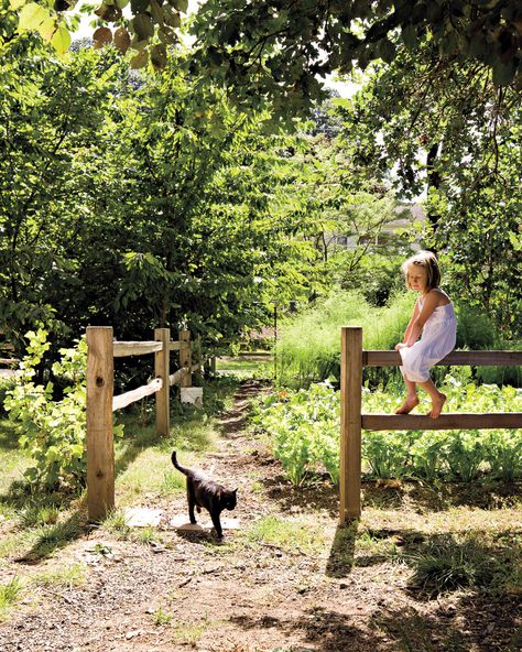 A garden and a hoop house help sustain the family year-round. They keep chickens for meat and eggs, and bees for honey and orchard pollination. They hope to one day turn the grounds into an educational farm, named Wild Goose Farm by Max. Future Farms, Farms Living, Country Scenes, Wooden Fence, Country Farm, Green Gables, Future Life, Permaculture, Country Living