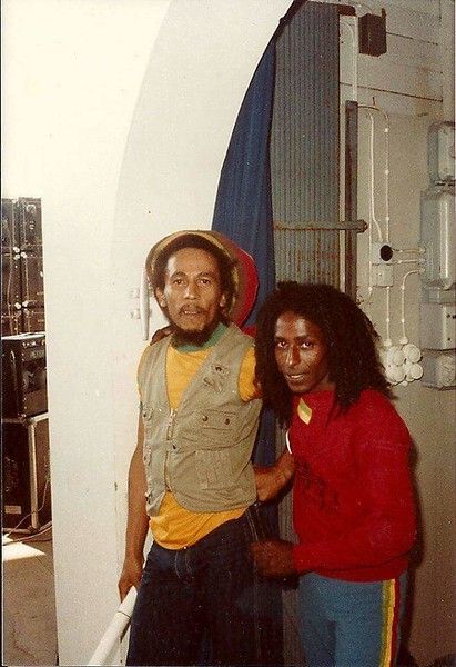 Image Bob Marley, Marley Family, Rastafarian Culture, Bob Marley Legend, Bob Marley Pictures, Bob Marley Art, Robert Nesta, Nesta Marley, Lion And Lioness