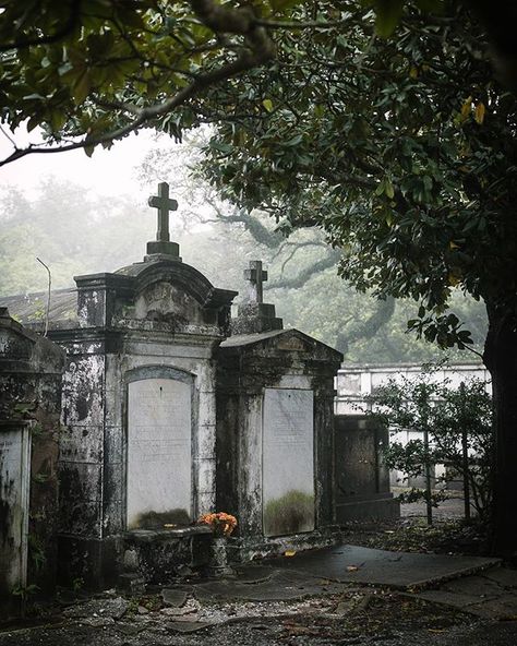 Cemetery New Orleans, New Orleans Cemetery, Southern Gothic Aesthetic, New Orleans Cemeteries, Old Cemetery, Cemetery Headstones, Old Cemeteries, Cemetery Art, Southern Gothic