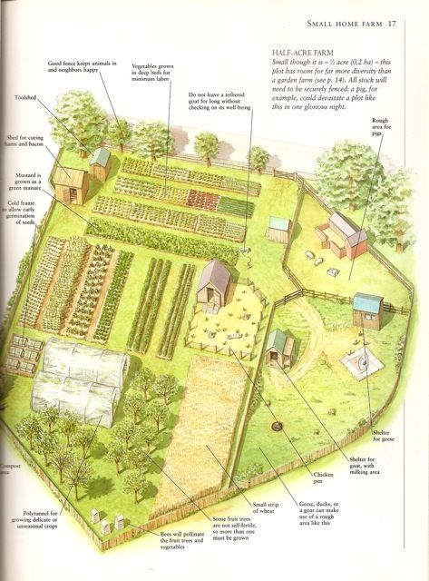 A Half-Acre Farm- a page from my favorite book, Country Life: A Handbook for Realists and Dreamers by Paul Heiney Homestead Layout, Farm Plans, Homestead Farm, Farm Layout, Future Farms, Urban Homesteading, Mini Farm, Living Off The Land, Have Inspiration