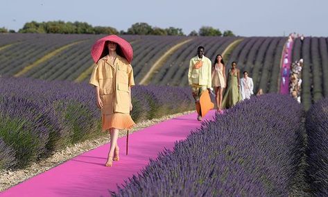 Bureau Betak (@bureaubetak) • Instagram photos and videos Picture Editor, Color Magenta, Elsa Peretti, Emily Ratajkowski, Lavender Fields, Bella Hadid, Carolina Herrera, Instagram Fashion, Karl Lagerfeld