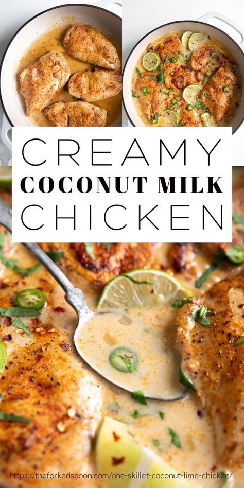 Dairy And Carb Free Recipes, Low Carb Dairy Free Recipes Dinners, Carb Free Dairy Free Recipes, One Pan Dairy Free Meals, Low Carb Coconut Milk Recipes, Dairy Free Low Carb Dinner, Chicken Recipe With Coconut Milk, Canned Coconut Milk Recipes Dinners, Dinner Ideas With Coconut Milk