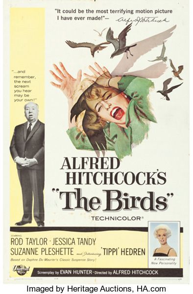 Movie Posters Hitchcock The Birds Universal 1963....... Birds Hitchcock, The Birds Hitchcock, The Birds Movie, Alfred Hitchcock The Birds, Jessica Tandy, Vintage Films, Tippi Hedren, Spanish Movies, Hollywood Cinema