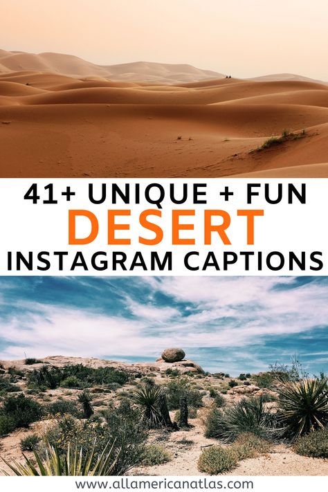 These are the best quotes about desert for desert Instagram captions, including funny desert Instagram captions, serious desert Instagram captions, and unique Instagram captions about desert to take your pictures to the next level. Caption For Instagram Pic, Unique Instagram Captions, Desert Quotes, Desert Words, Desert Quote, Desert Pictures, Best Desert, Mountain Quotes, Tree Quotes