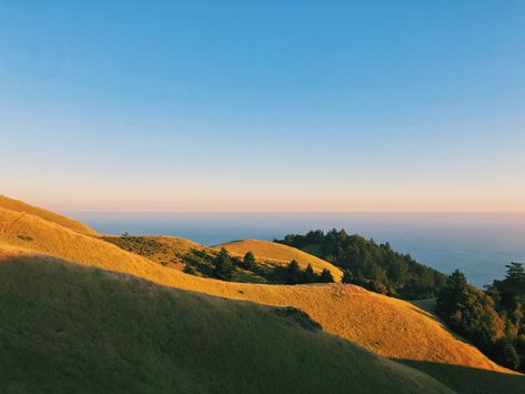 marin, aesthetic, ocean, golden hills, bolinas fairfax ridge Hills Aesthetic, Norcal Aesthetic, Fairfax California, Northern California Aesthetic, Bolinas California, California Hills, Music Cover Photos, California Coastline, California Mountains