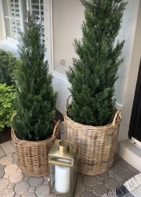 Small Front Porch Decor, Front Porch Plants, Home Fall Decor, Porch Plants, Small Front Porch, Small Front Porches, Cedar Trees, Small Porches, Front Porch Decorating