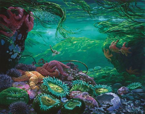 Tide Pool Painting, Tide Pool Art, Shattered Plains, James Christensen, Mermaid Background, Pool Art, Tide Pool, Bronze Art, Painting Media