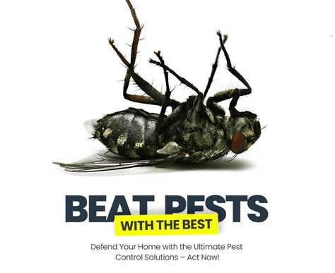 Struggling with pests at home or work? 

Pest Experts And Fumigators offers reliable, eco-friendly solutions for a safe, pest-free environment. Contact us to schedule your service today! 

📞+263 777 129 224
#pestcontrol #pestmanagement #homeprotection #exterminator #harare Pest Management, Graphic Design Flyer, Pest Control Services, Home Protection, Pest Control, Art Tutorials, Bugs, At Home, Eco Friendly