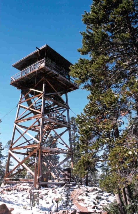 Saturday Activity | Medicine Bow-Routt National Forests & Thunder Basin National Grassland - Spruce Mountain Fire Lookout Fire Lookout, Fire Tower, Illustration Design Graphique, Airbnb Ideas, Lookout Tower, Tower House, Tower Design, Watch Tower, Forest Fire