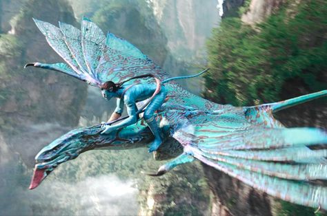 Avatar Jake Sully Ikran Aesthetic icon Banshee Avatar, Pandora Creatures, Ikran Banshee, Avatar Creatures, Avatar The Movie, James Cameron Avatar, Jake Sully Avatar, Sully Avatar, Avatar Animals