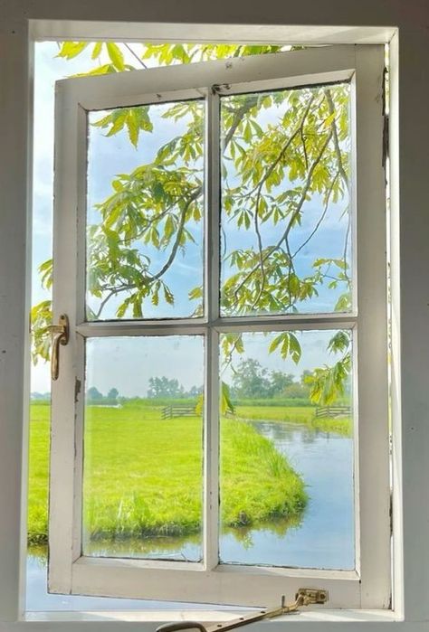 Open Window Reference, Window Frame Art Ideas, Painting Of A Window View, Looking Out Window Reference, Open Window Photography, Window View Drawing, Windowsill Ideas, Window Frame Art, Journal Painting