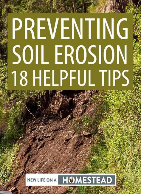 Plants That Prevent Erosion, Prevent Erosion On A Slope, Water Erosion Prevention, Plants To Stop Erosion, Farming On A Hill, Landscaping To Prevent Erosion, Soil Erosion Prevention, Slope Yard Landscaping, Hill Landscape Ideas