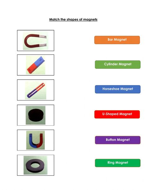 Magnet online worksheet for Year 1. You can do the exercises online or download the worksheet as pdf. Magnets Worksheet, Magnet Worksheet, Chemical And Physical Changes, Fun Magnets, Physical Change, Year 1, School Subjects, Online Workouts, Google Classroom