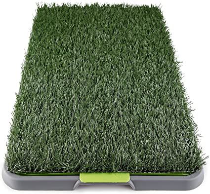 Fake Grass For Dogs, Porch Potty, Indoor Turf, Potty Trainer, Puppy Pads Training, Dog Urine, Potty Pads, Dog Potty, Balcony Patio