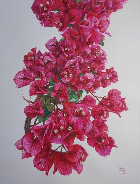 Buganvilla Painting, Bougainvillea Illustration, Bougainvillea Art, Bougainvillea Painting, Wood Painting Techniques, Wall Painting Techniques, Flower Drawing Tutorials, Watercolor Flower Art, Watercolor Painting Techniques