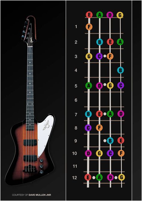 Bass Guitar Notes, Bass Guitar Scales, Learn Bass Guitar, Bass Guitar Chords, Music Theory Guitar, Guitar Notes, Bass Guitar Lessons, Guitar Fretboard, Not Musik