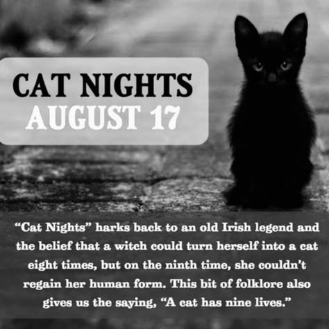 Pin by Alma Pari-Passu on Black (Beauty) Cats (=^~^=) in 2022 | Cat spirit, Cat spirit animal, Cat facts Cats And Witchcraft, Facts About Black Cats, Black Cat Witchcraft, Cat Spirit Animal, Celtic Cats, Cat Spirit, Wiccan Magic, Magic Spell Book, Wiccan Spell Book