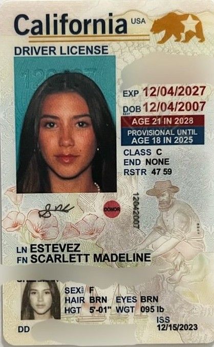 Drivers Licence Photo, Licence Photo, Fake Bank Notes, Printable Play Money, Drivers Licence, School Id, Passport Stamps, Play Money, Id Photo