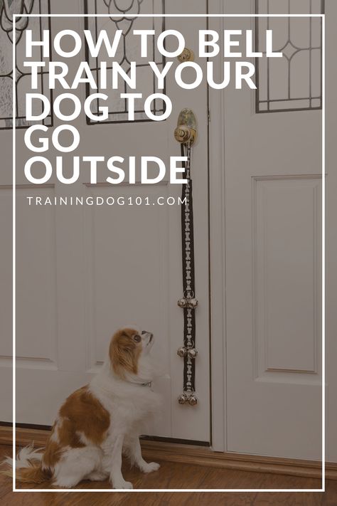 Bell For Dogs To Go Outside, How To Bell Train Your Dog To Go Outside, House Breaking A Puppy Potty Training, Potty Bell For Dogs, Dog Potty Training Tips, Potty Training Puppy With Bell, How To Potty Train A Puppy Go Outside, Housebreaking A Puppy, Dog Bells For Door Potty Training