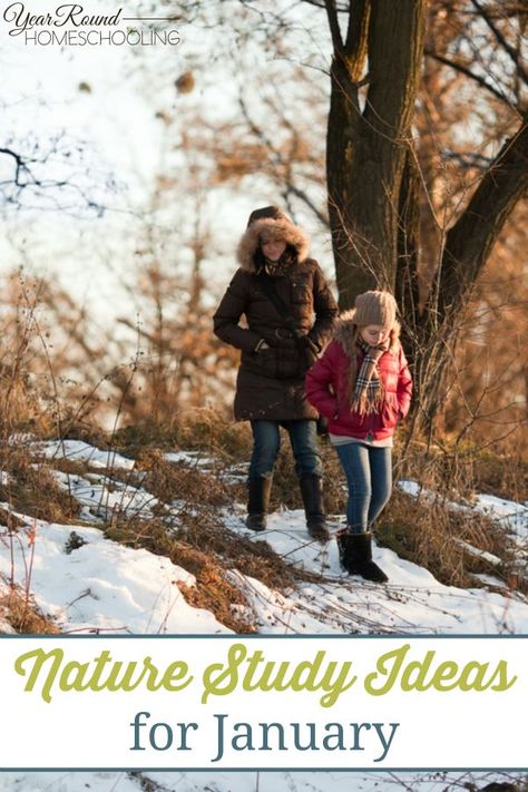 January Nature, Nature Lessons, Nature Ideas, Nature School, Homeschool Inspiration, How To Start Homeschooling, Study Ideas, Homeschool Encouragement, Science Ideas