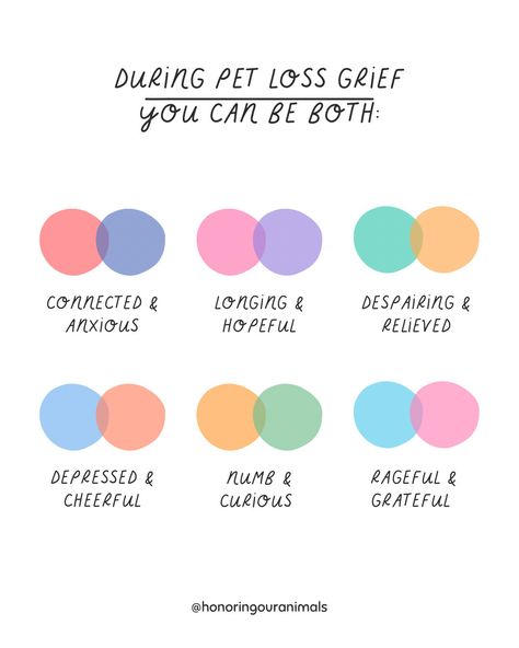 🚨 Embrace Both-And Thinking in Your Pet Loss Grief 🐾 In the journey of pet loss grief, it’s okay to feel multiple emotions at once. This concept, known as ‘both-and thinking,’ is a powerful approach to coping with grief and loss. 🧠 Dr. Pauline Boss, a pioneer in this field, teaches us that we can hold two opposing ideas in our minds simultaneously and that it can be supportive to do so. 🌱 As she beautifully states, “I intentionally hold the opposing ideas of absence and presence, because I... Trying My Best, Forever And Ever, Pet Loss, I Miss You, Miss You, The Journey, Your Pet, Mindfulness, Pet