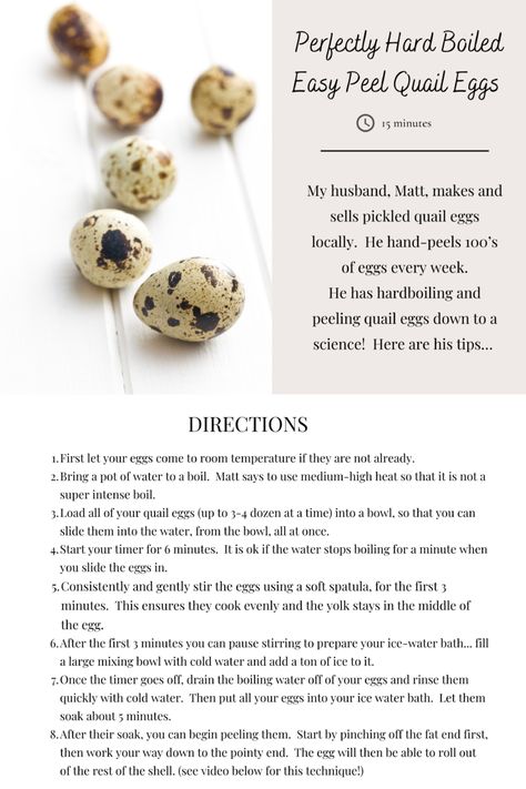 Quail Egg Benefits, Marinated Quail Eggs, Raising Quails For Eggs, Pickles Quail Eggs, Quail Photos, Pickled Quail Eggs Recipe, Quail Eggs Benefits, Cooking Quail, Quail Egg Recipes