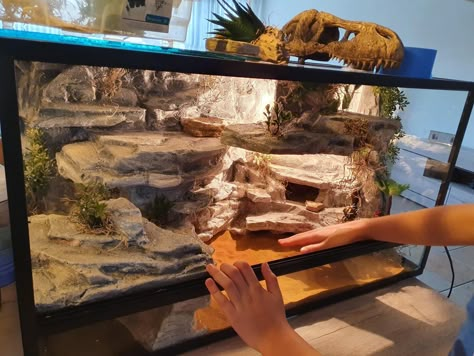 Uromastyx Lizard Enclosure, 20 Gallon Leopard Gecko Tank Ideas, Bearded Dragon Enclosure Ideas 4x2x2, Diy Reptile Enclosure, Uromastyx Lizard, Diy Bearded Dragon Enclosure, Gecko Cage, Bearded Dragon Vivarium, Leopard Gecko Habitat