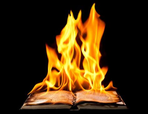 Book Burning, Fahrenheit 451, Warhammer Age Of Sigmar, Ray Bradbury, Promote Book, Penguin Random House, Reading Challenge, Day Book, Digital Book