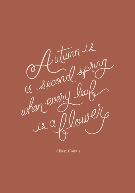 Autumn Positive Quotes, Autumn Motivational Quotes, Fluff Quotes, Autumn Vibes Quotes, Autumn Quotes Instagram, Fall Motivational Quotes, Autumn Aesthetic Quotes, Fall Aesthetic Quotes, Fall Quotes Aesthetic