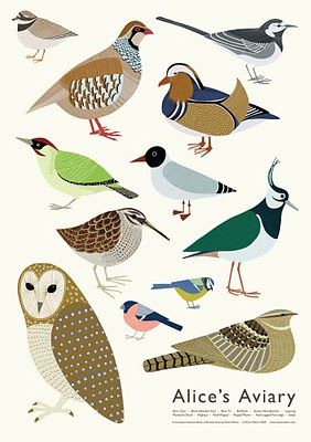 Biological Illustration, Bird House Kits, Pola Sulam, Bird Illustration, Bird Feathers, Animal Illustration, Bird Art, The Words, Beautiful Birds