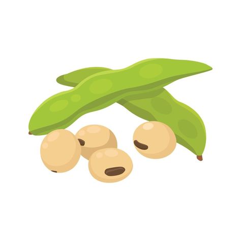 Flat vector of Soy beans isolated on white background. Flat illustration graphic icon Soy Beans, Flat Vector, Flat Illustration, Vector Art, Coffee Shop, White Background, Vector Free, Mario Characters, For Free