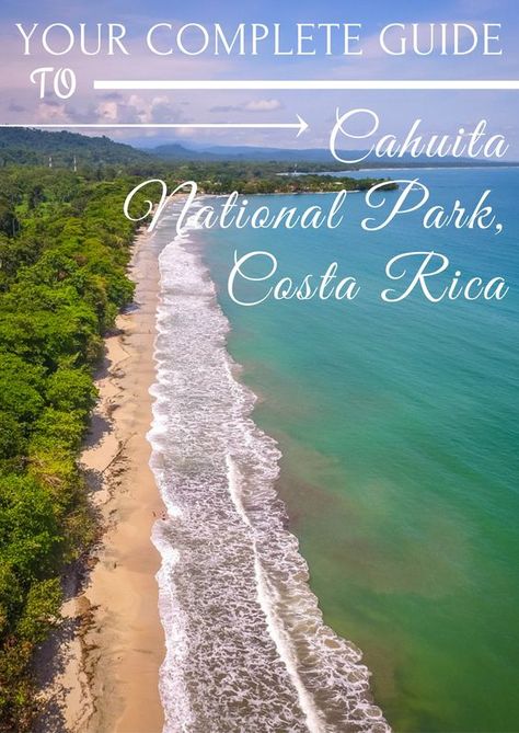 Your complete guide to Cahuita National Park in Costa Rica, an absolute must-visit! Cahuita Costa Rica, Krakow Travel, Cahuita, South America Destinations, Travel Mexico, Caribbean Culture, Costa Rica Vacation, Central America Travel, Lifestyle Content