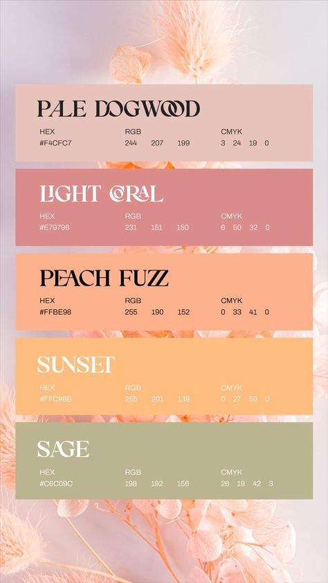 Better Canvas Extension Themes, Color Of Year 2024, Moodboard Inspiration 2024, Graphic Design Painting, Peach Pallet Color, Spring Hex Color Palette, Spring Pantone Colors, 2024 Spring Colors, Peach And Pink Color Palette