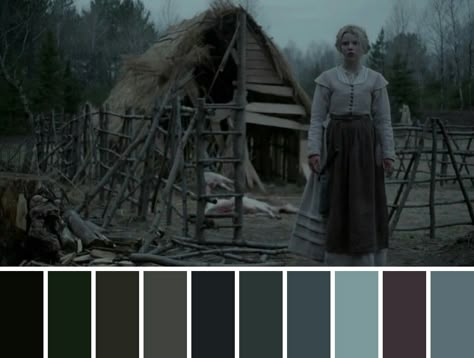 movie & film cinematography color palette Horror Film Color Palette, Horror Movie Colour Palette, Scary Colour Palette, Horror Movies Color Palette, Movie Color Palettes, Movie Palette Color, Cinematic Colour Palette, Horror Colour Palette, Cinematic Pallet