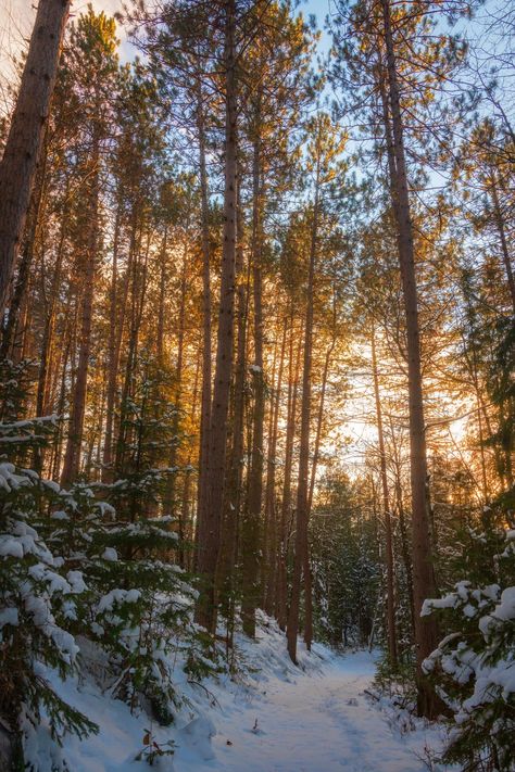 Wisconsin Aesthetic, November Sunset, November Mood Board, November Mood, Wisconsin Winter, Nature Photography Tips, Christmas Cabin, Northern Wisconsin, Fear Of Flying