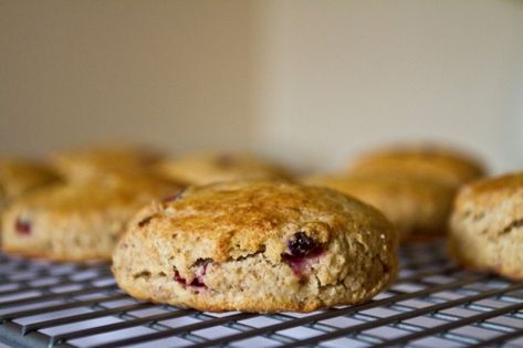 Elderberry and Einkorn Scones - All That I'm Eating Einkorn Scones, Elderberry Vinegar, Elderberry Lemonade, Traditional Scones, Elderberry Honey, Banana Coffee Cakes, Homemade Elderberry, Einkorn Recipes, Fermented Honey