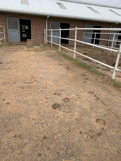 The Best Way to Stabilize a Muddy Horse Paddock: Footing Grids Grid Work For Horses, Run In Shed For Horses Diy, Jumping Grids For Horses, Horse Paddock Enrichment, Paddock Footing, Horse Paddock Footing, Muddy Horse, Horse Paddock, Permeable Pavers