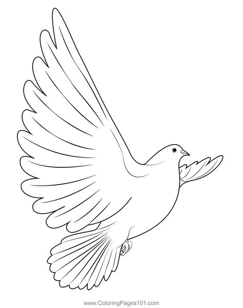 Dove In Flight Coloring Page Dove Sketch, Dove Sketches, Dove Outline, Pusheen Coloring Pages, Special Drawings, Dove In Flight, Dove Drawing, Sunflower Coloring Pages, Dove Images