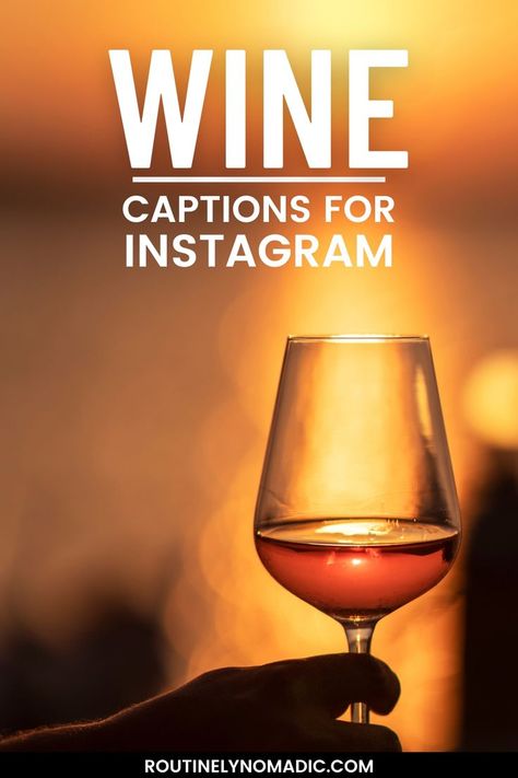 Glass of wine at sunset with words wine captions for Instagram Red Wine Captions Instagram, Wine Captions Instagram Sassy, Friends Get Together Quotes, Wine Captions Instagram, Rosé Wine Quotes, Red Wine Quote, Sangiovese Wine, Wine Pics, Wine With Friends